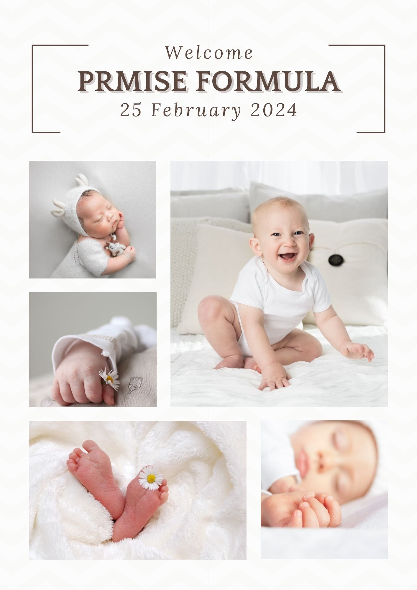 European Baby Formula Showdown:  HiPP and Holle